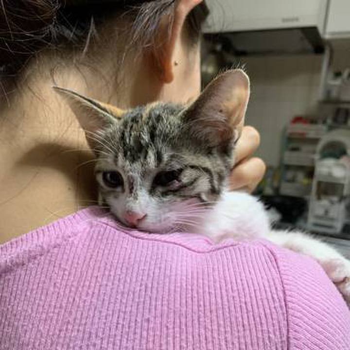 5e092012 b720 4d93 b1c3 b7d1487a7b96 1629282876660