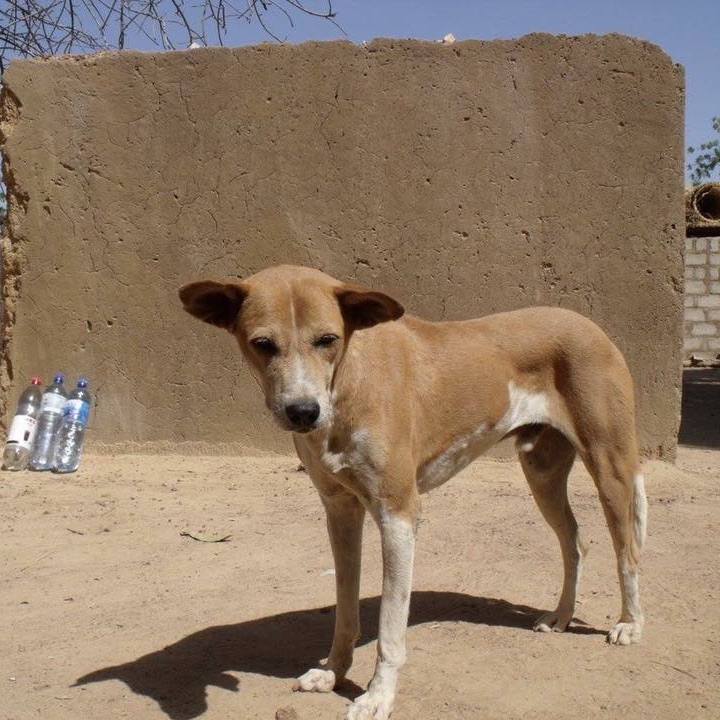 5e094085 5aae 40ac a89a bdfb8a82770a 1543137726031