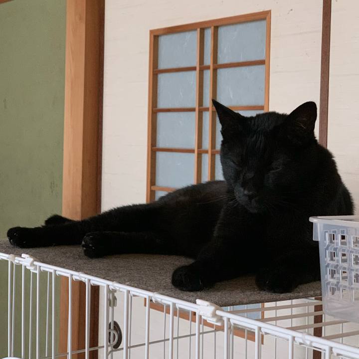 5e097264 2144 403d 9a72 5627d8e3bc99 1595550908025