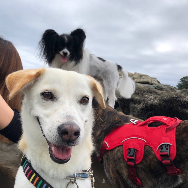 5e09755f 3eb3 4a3f beea f44db340fa96 1629165903941