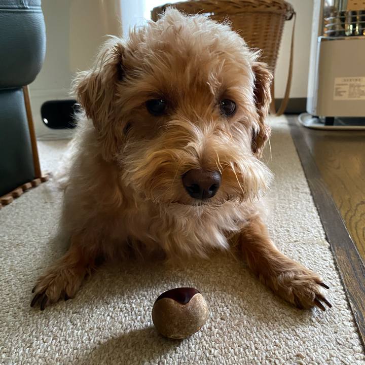 5e097aa2 678e 44be a364 8b733b3a4560 1631055346802