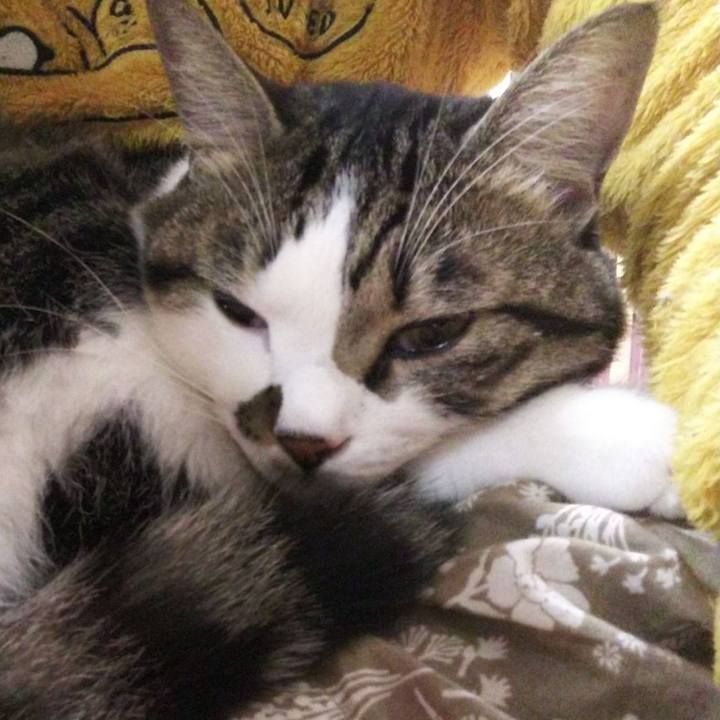 5e09946b cbd5 4176 9757 2a2b468509bd 1665390799449