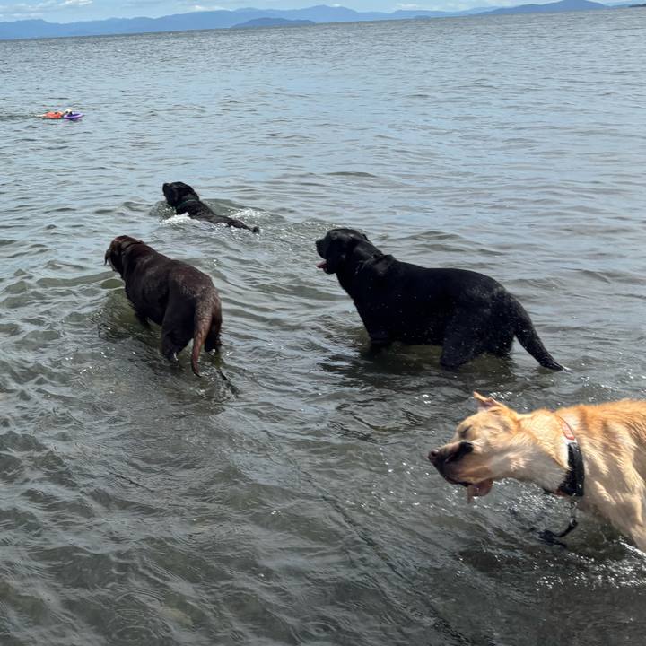 5e09a641 b152 4dad aeeb 3442af6e7fe0 1758627291683