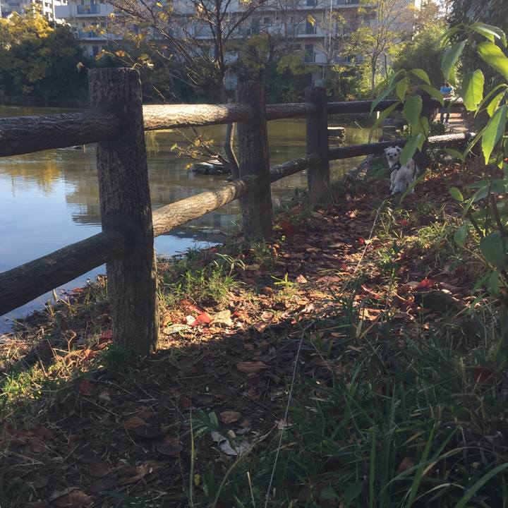 5e09aa70 fe8c 4f9e b158 7b404e807de7 1543578039457