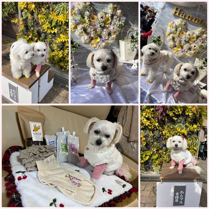 5e09d094 66d3 4721 ae6d a4b0f4a1d7a9 1674372939328