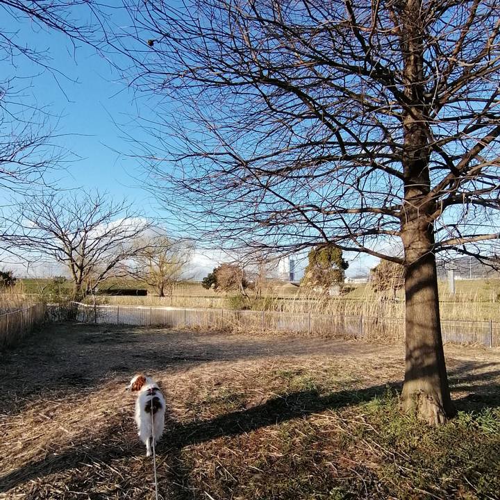 5e09d20b 427a 4a0c 91bf 5b475d889da3 1582804082328