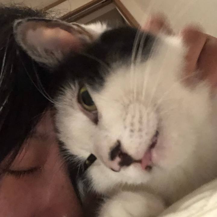 5e09f4ab dbaa 4dae b7d6 74bbce131a55 1574267071257