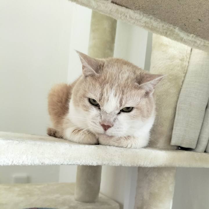 5e0a2531 66d6 4627 80b4 8dc6cc06c495 1711849718575