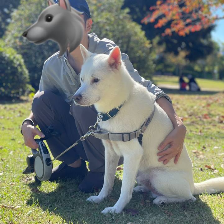 5e0a3613 0a2f 47c1 bcb9 96e3f273f4aa 1697951510546