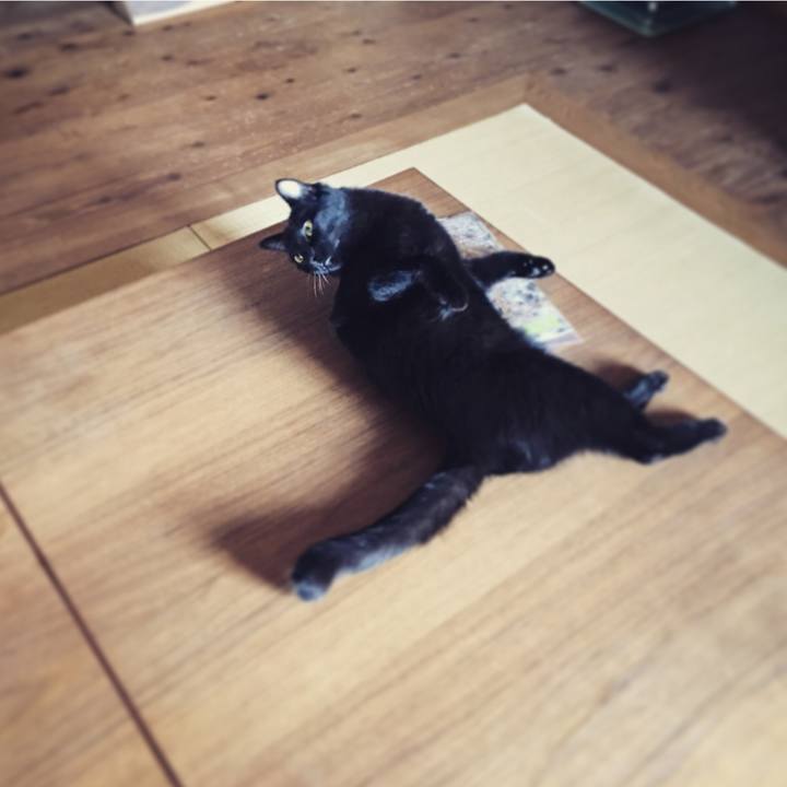 5e0a4f79 3561 4e7a a3de 9385a8278519 1512082366370