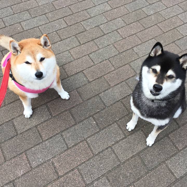 5e0a51de 8990 4923 a3ba 15a6a3ed7f93 1609905712658