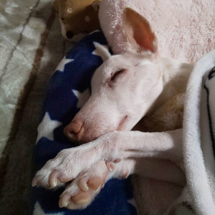 5e0a54a1 4cfc 492e 991c f9e3a17826dd 1612802265337