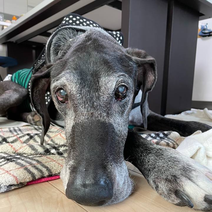 5e0a6a98 de07 41bf a80f 56d4d33e2668 1731114914437