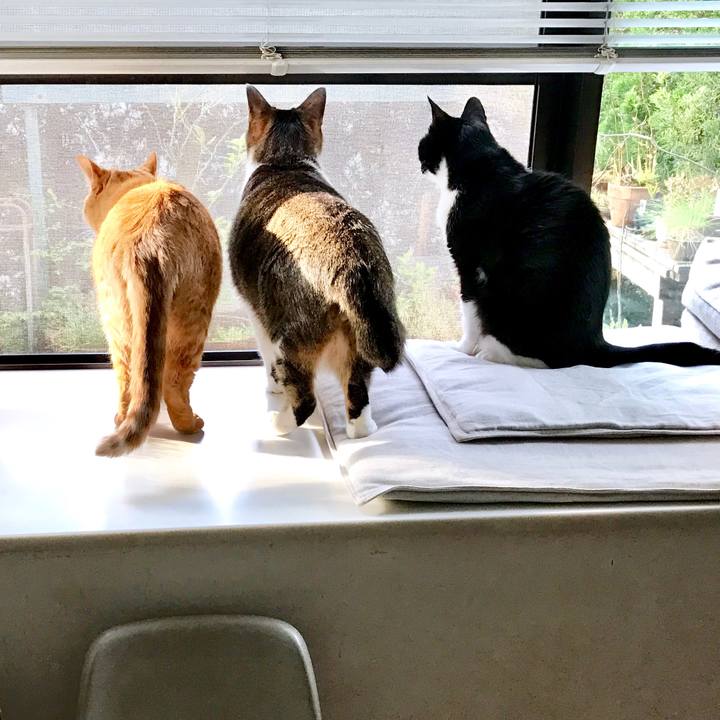 5e0a9c1e 8443 4428 b39f c52015572d97 1545446790283