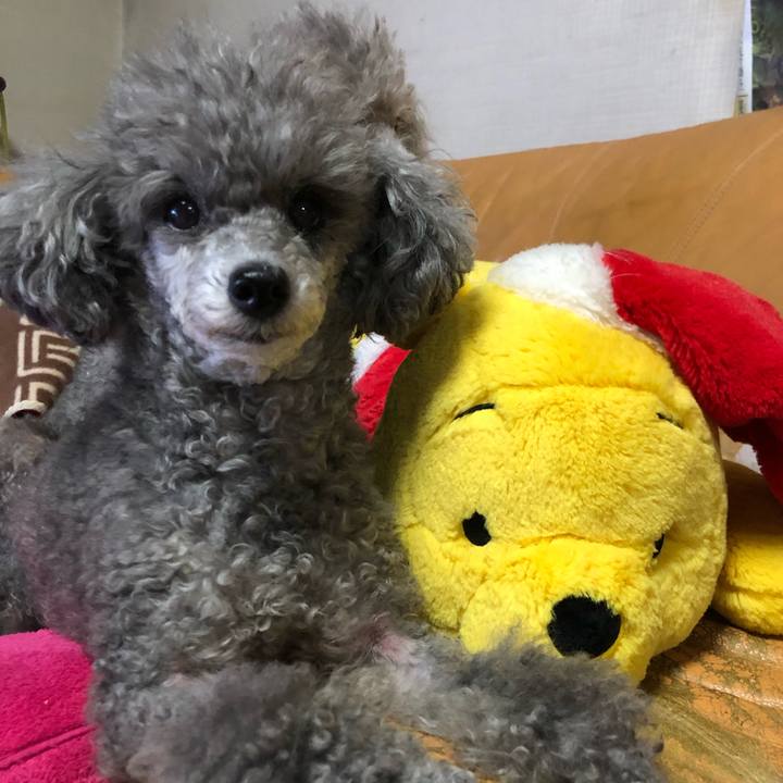 5e0ac0d4 a0f0 4d29 9f4d 24d2bdfd3f34 1608885989462