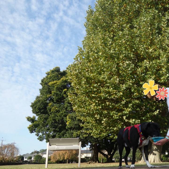 5e0acc5c af88 4d3f 9583 10406302e42c 1667522225345