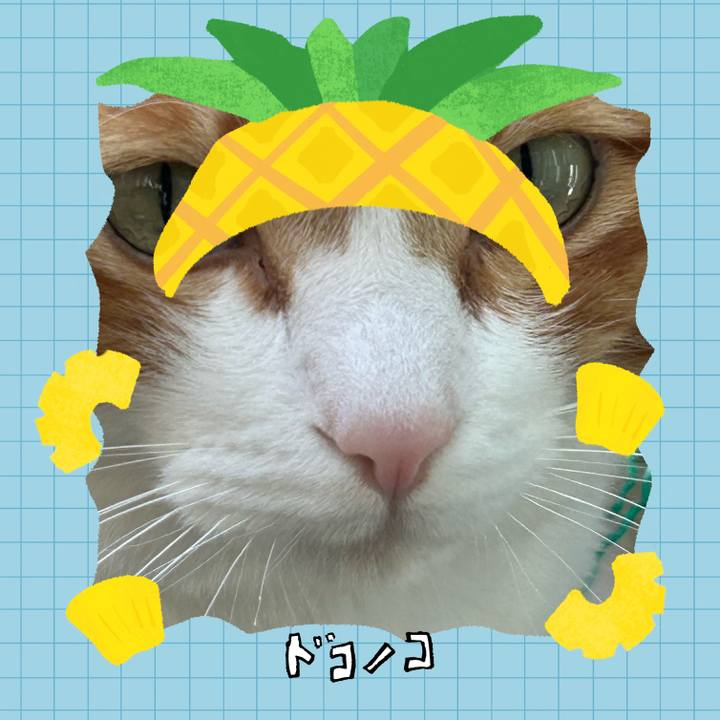 5e0ae16c 852a 4526 899c 620d89efd4de 1784028538453