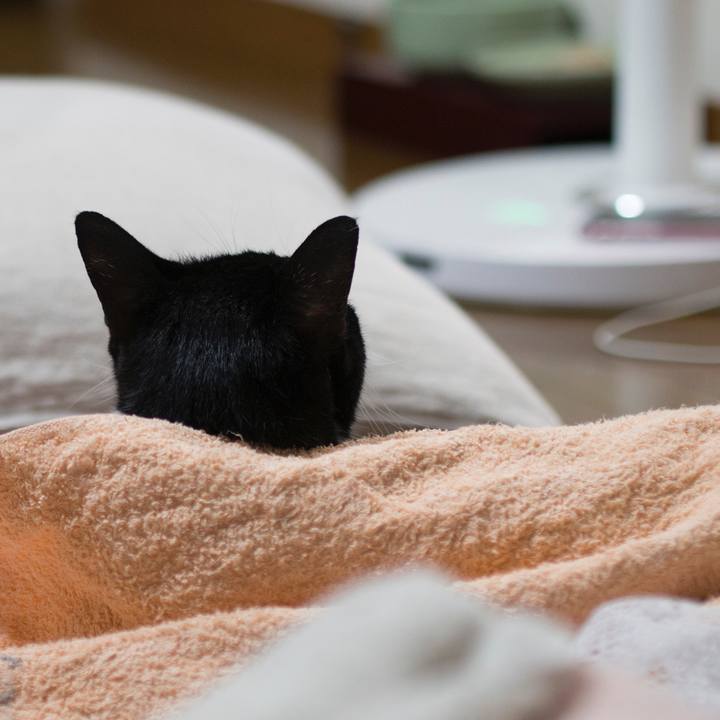 5e0ae774 21f3 4706 bc79 d661832e79ac 1531554160578