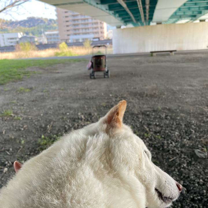 5e0b3535 3954 4de4 81bc 35943bccacdf 1649485061088