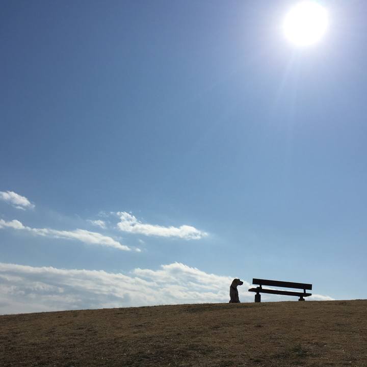 5e0b3a82 7b49 4f1e 9b6a 8636fe242e82 1550400797862