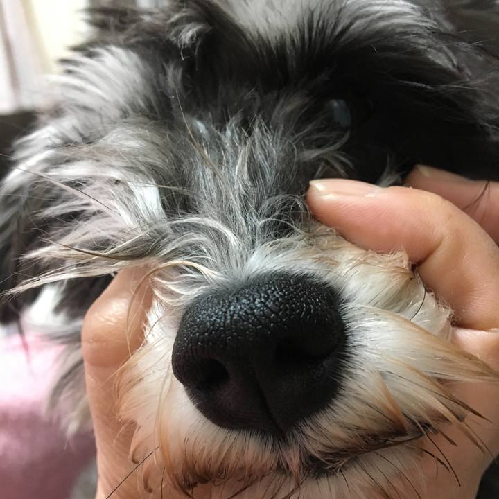 5e0b51f9 d091 4cce 8557 548c2f26009d 1523617110510