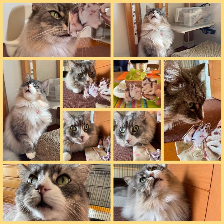 5e0b711e 06b1 418f ba53 318c382dca20 1763192929344