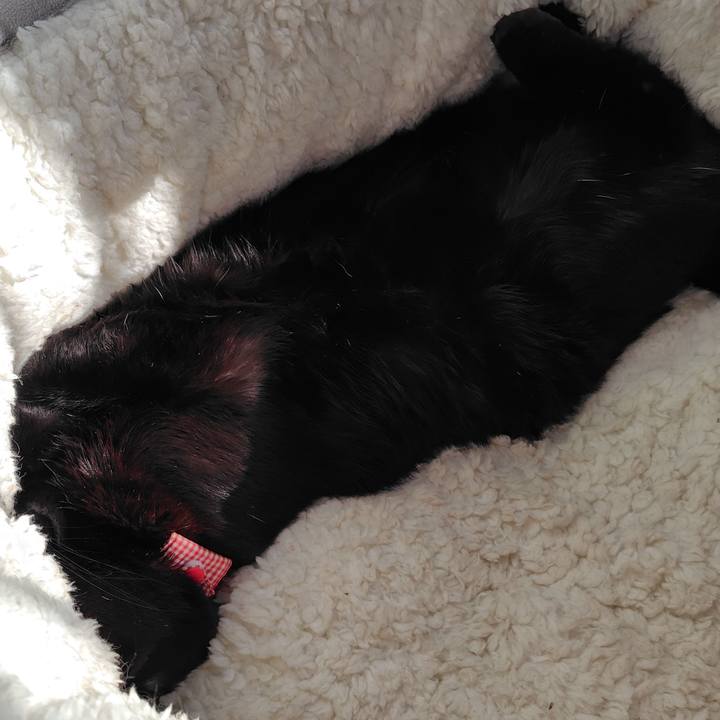 5e0bd337 2d8a 4899 878e 6a8902a0c024 1761718052434