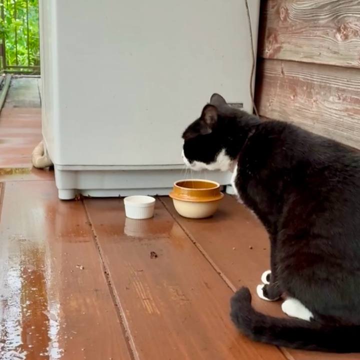 5e0bd346 a5a3 43f3 b190 ff95a5787a0b 1749885854529