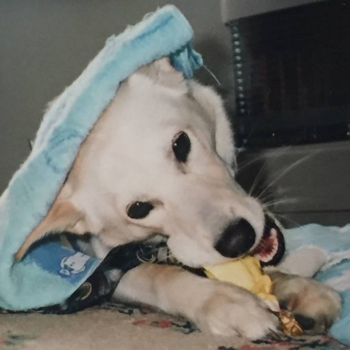 5e0bd420 4966 4eab ad10 2a5bb0bf9983 1571910453497