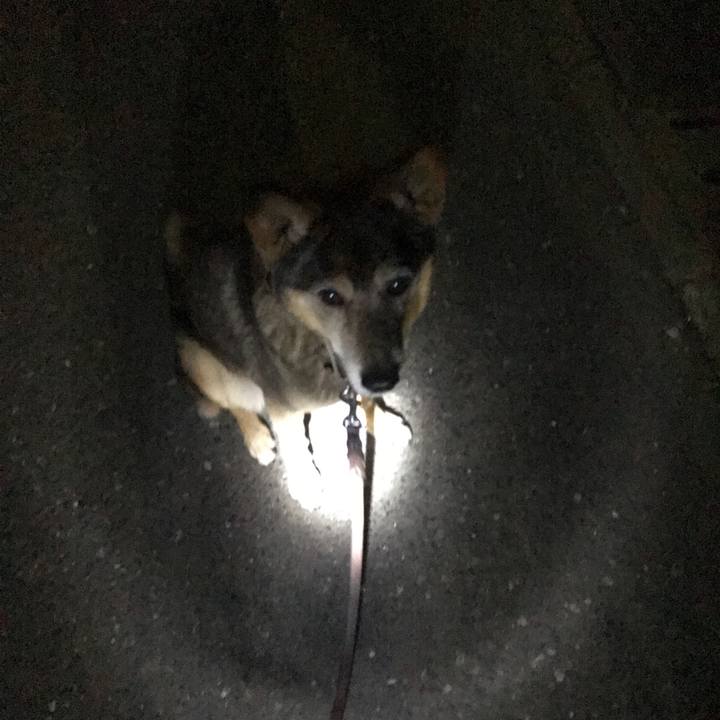 5e0be41f b86e 47ae a0aa f5ec423e8537 1523637032169