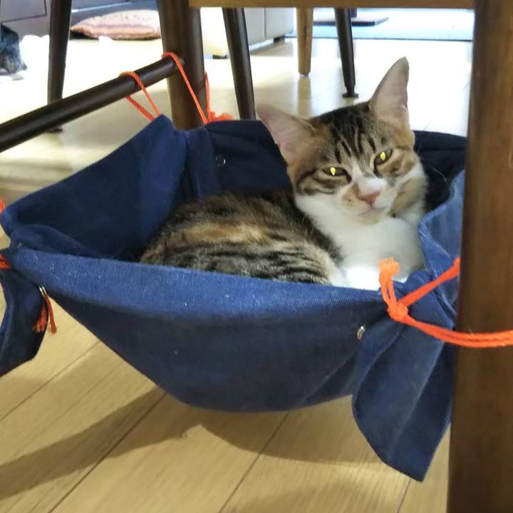 5e0c0465 0412 4c4f bfa0 5b84ba45a2bd 1636670380672