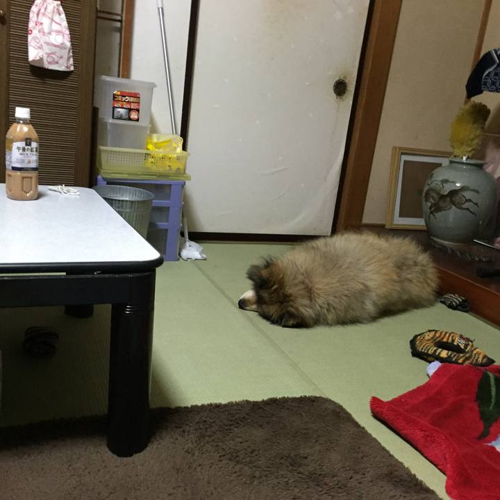 5e0c0827 a288 4da8 97ab db11bd507983 1548689850980