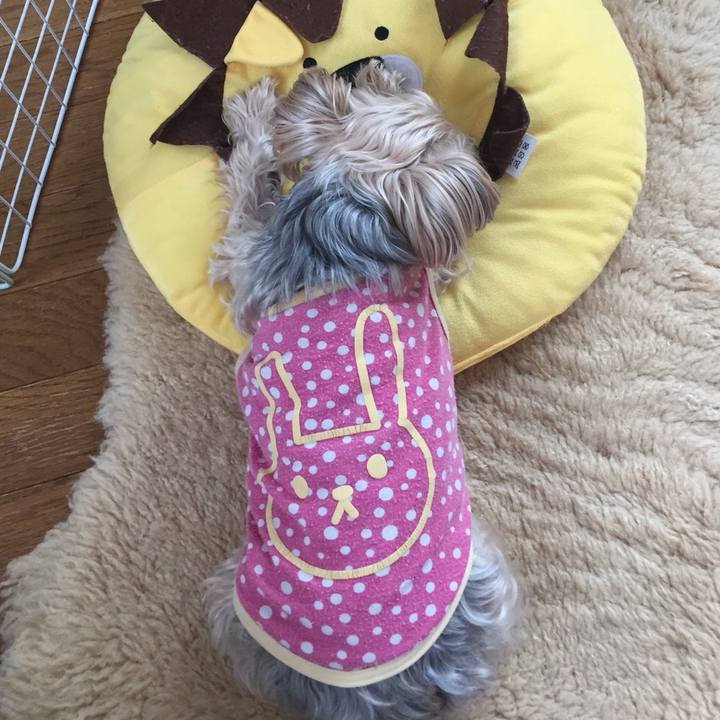 5e0c0e2d 455f 4dda 8c64 20028cc841c7 1523061325501