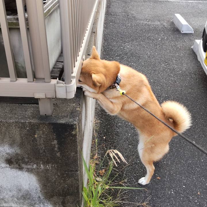 5e0c4e2b aaa3 488d bebf 386ccc7abe12 1765262641859