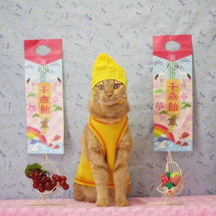 5e0c4ec1 dd83 4776 9a13 85dba3c89ac5 1667564491015