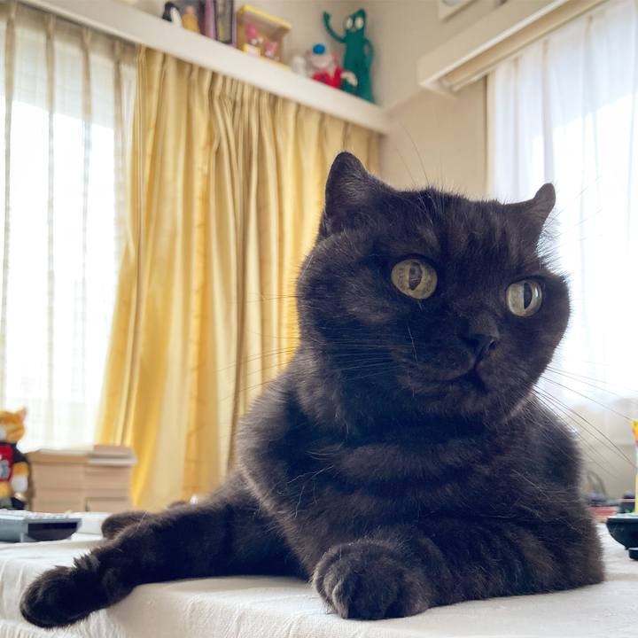 5e0c8523 585b 4c16 ae39 f48646754f27 1596851734193