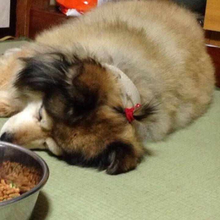 5e0c8ba2 299b 4554 9ebf 581760225f8b 1621808013890