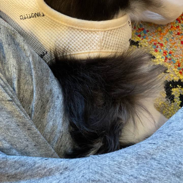 5e0cb690 6d8e 49b3 8702 1c7822f591c6 1717343338070