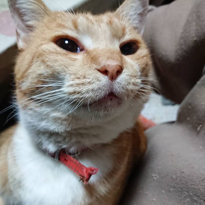 5e0cb7b9 dda3 4662 9152 b8049f6cbf7c 1575409271186