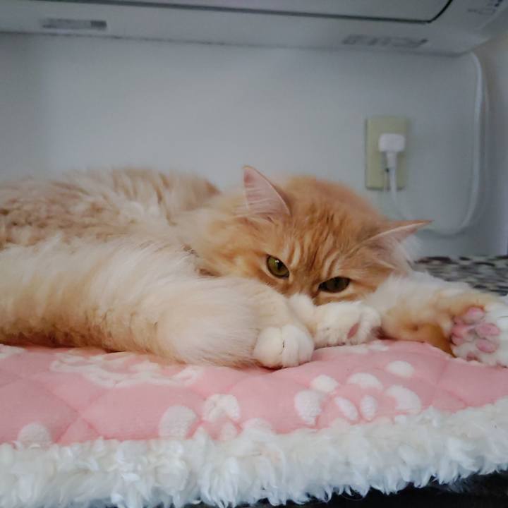 5e0cd1d6 fb56 44f7 bd50 193efd0724d0 1718776681481