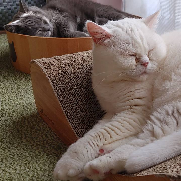 5e0cdf6e 2136 41d4 96d7 5e3f895f7d06 1667442549041