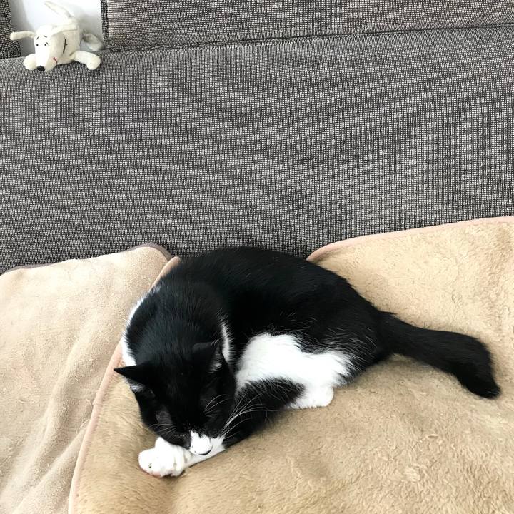 5e0cea4b 087e 4d9b bbf4 d4c969c4547b 1575808392605