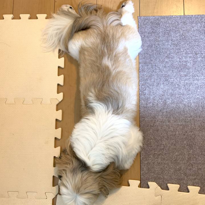 5e0cff83 f7ff 4cb7 a81f 57bd57df5053 1654693155095