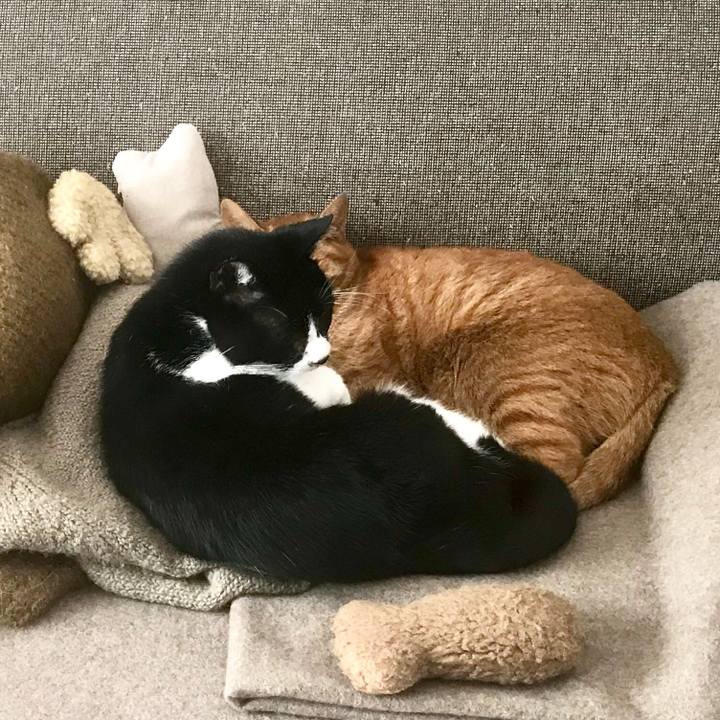 5e0d0a67 78c8 4b43 a7d1 74e0c41ec670 1515040983587