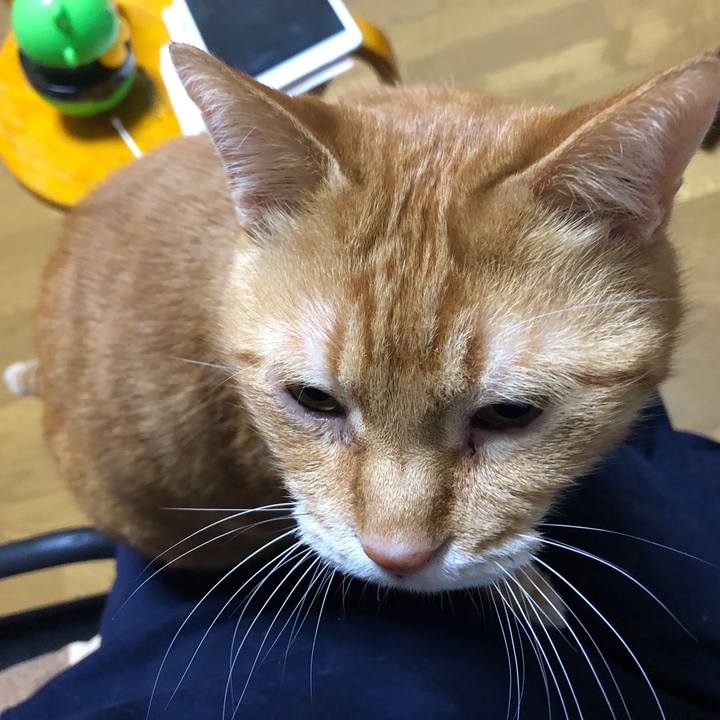 5e0d4efb 3186 4c93 88f4 1a456a3519d4 1709757301815