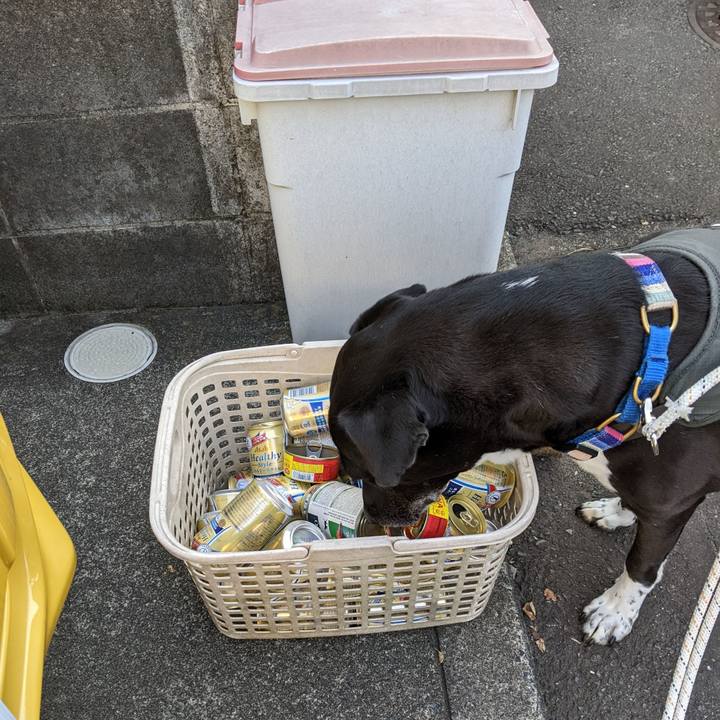 5e0d7877 f0fa 47c0 85ac 0c5380d457ac 1664843454591