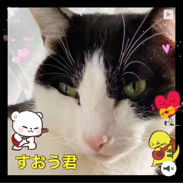 5e0d7c03 9ff3 467b 8272 9581a0e9d676 1642561046773