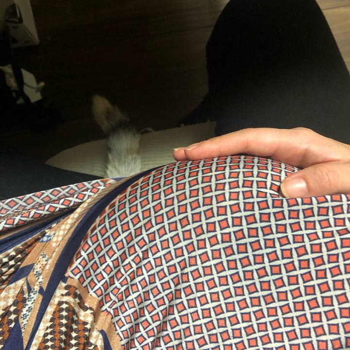 5e0d86d4 362f 42f8 99c7 d1a98efe24a3 1602671904234