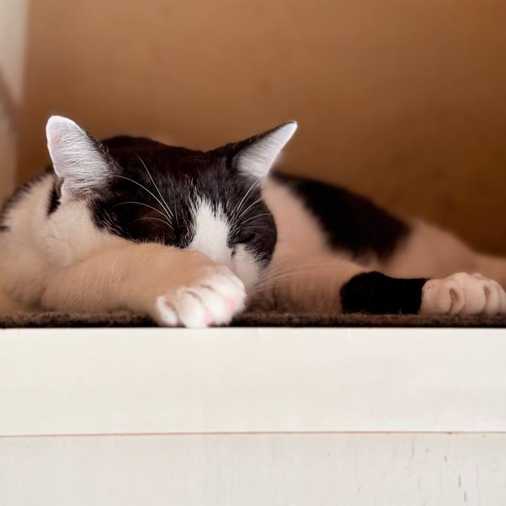 5e0d8da0 5c47 42f3 a58b df7800c11b50 1759631183249