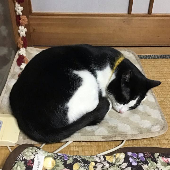 5e0d9b52 2439 4518 8ab0 e71ce9f57896 1648978963416